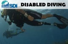 SDI Disabled