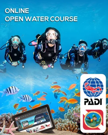 LEARN TO DIVE PADI OPEN WATER COURSE