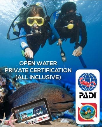 Top Jobs in Scuba Diving - International Training - SDI, TDI, ERDI