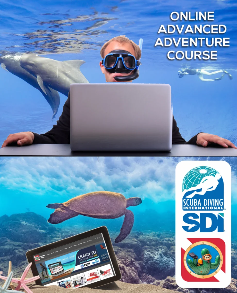 SDI Advanced Adventure Certification Course in Mesa, AZ