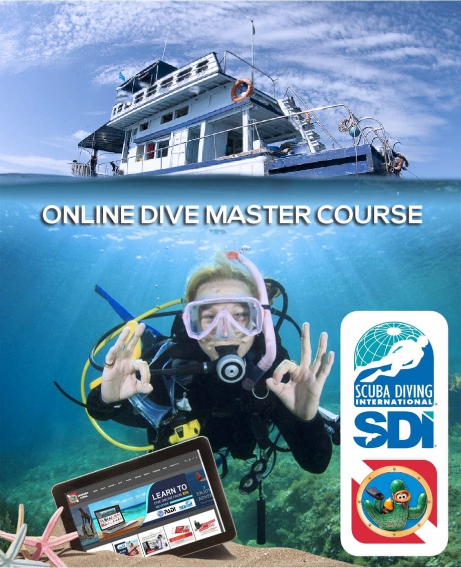 SDI Divemaster Certification Course at Saguaro Scuba