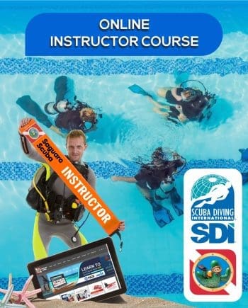 SDI Open Water Instructor Course at Saguaro Scuba