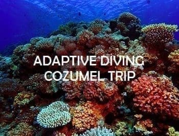 Adaptive Diving Cozumel
