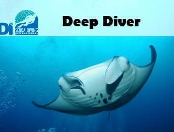 SDI Deep Diver Certification at Saguaro Scuba