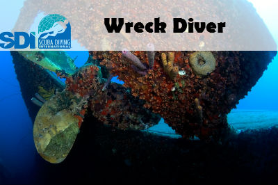 SDI ONLINE WRECK DIVER ELEARNING CODE