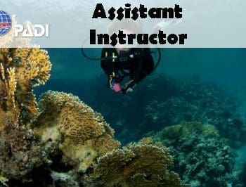 PADI ONLINE ASSISTANT INSTRUCTOR COURSE