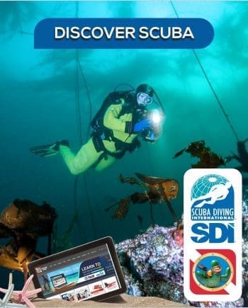 SDI Discover Scuba Course at Saguaro Scuba