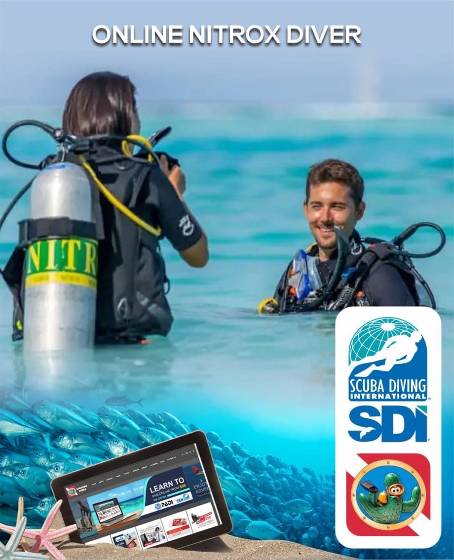 SDI Nitrox Diver Certification at Saguaro Scuba