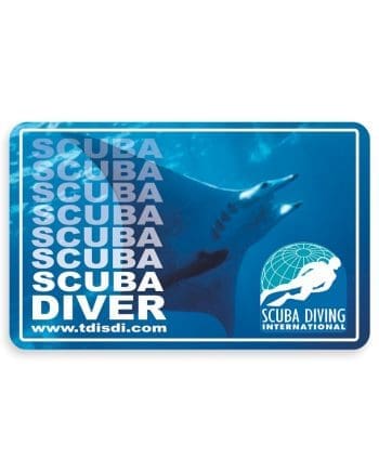 SDI Diver Registration Fee - C-card