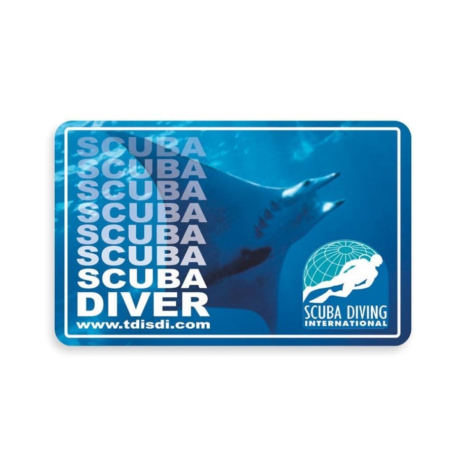 SDI Diver Registration Fee - C-card