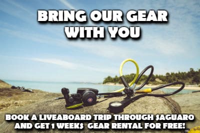 rental gear