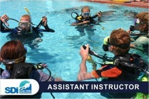 ASSISTANT INSTRUCTOR2