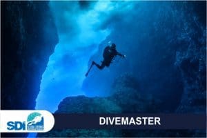 DIVEMASTER2