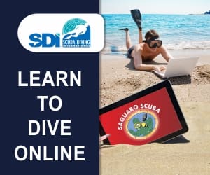 learntodive