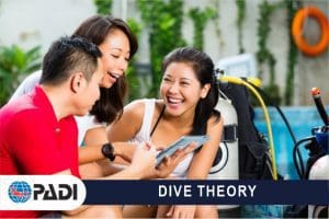 DIVE THEORY BT