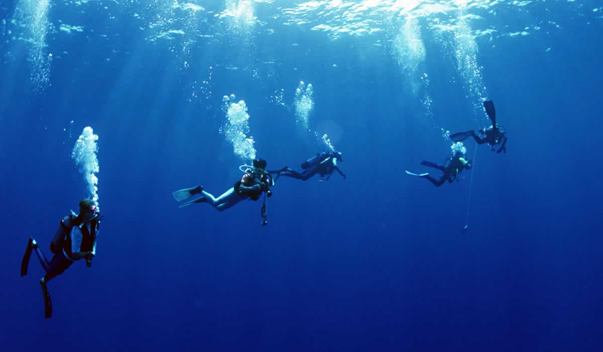 Multilevel-Diver-Pattaya (1)