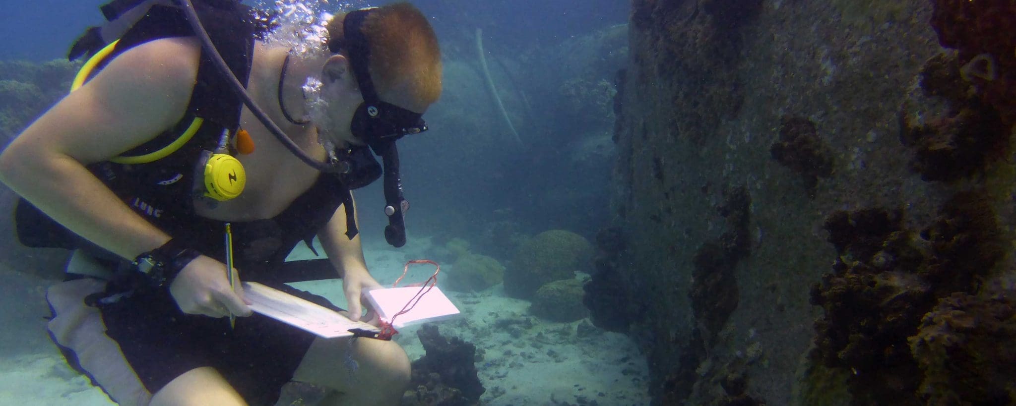 RESEARCH_DIVER_HEADER_IMAGE_Data_Collection