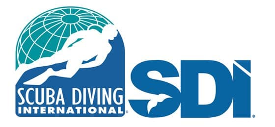 sdi-logo