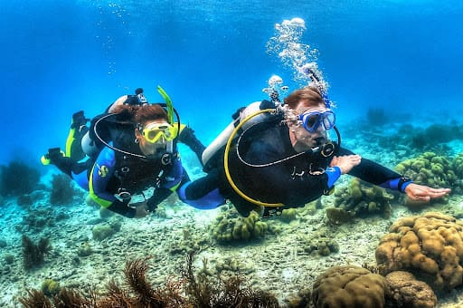 Specialty of the Month Calendar Cards, January, Dry Suit Diver