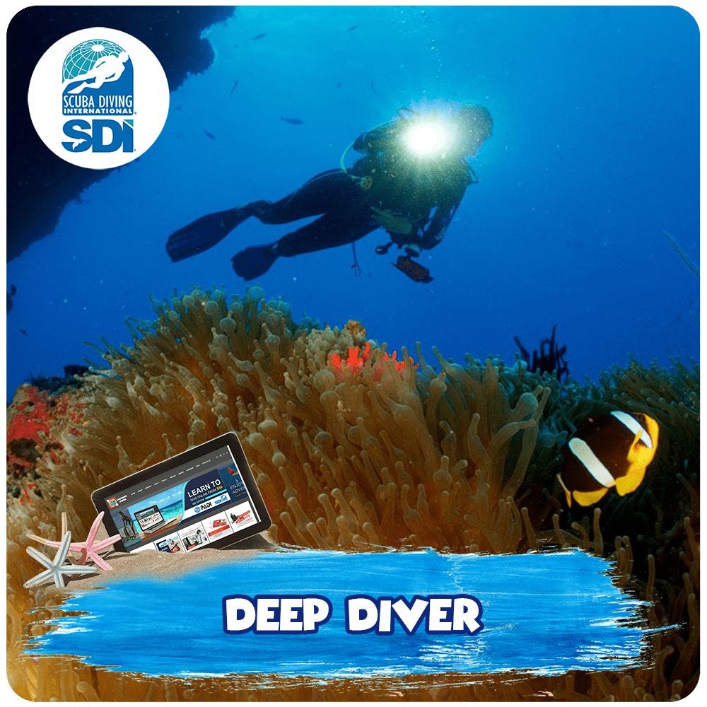 Deep Diver