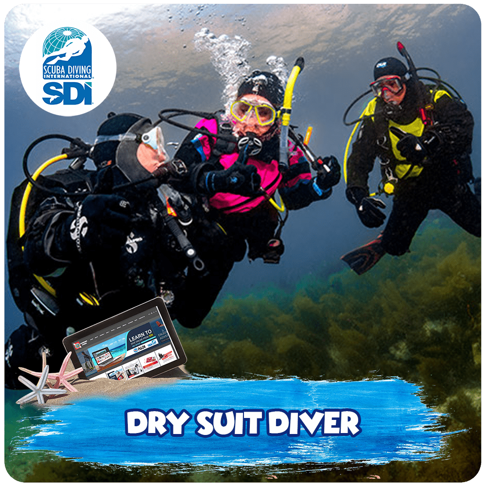Dry Suit Diver