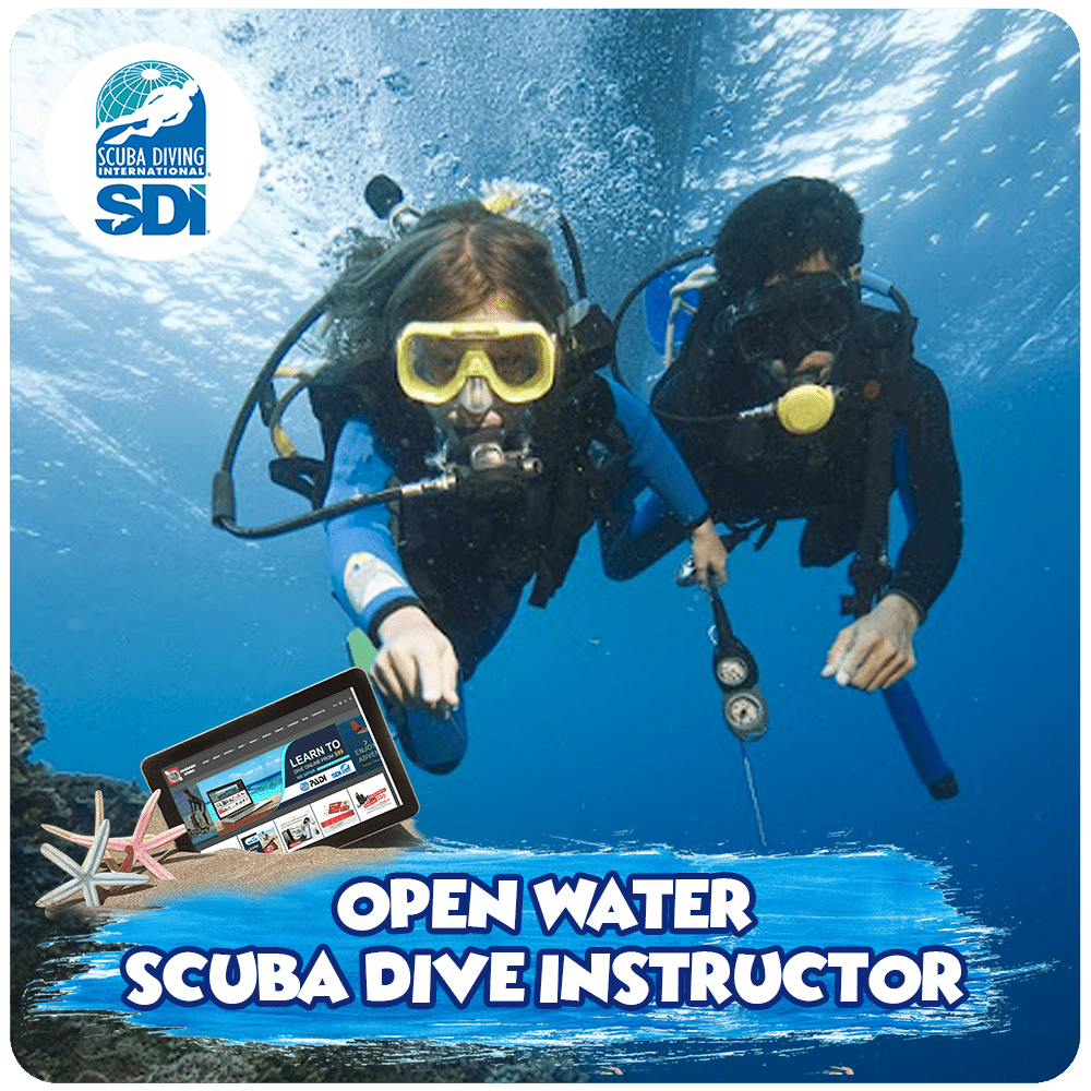 Open Water Scuba Dive Instructor