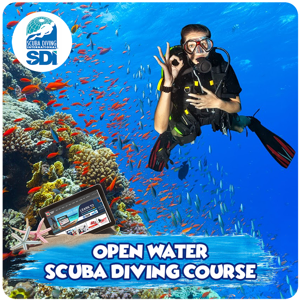 Learn to Dive at Saguaro Scuba in Mesa, AZ. SDI Open Water Diving Course
