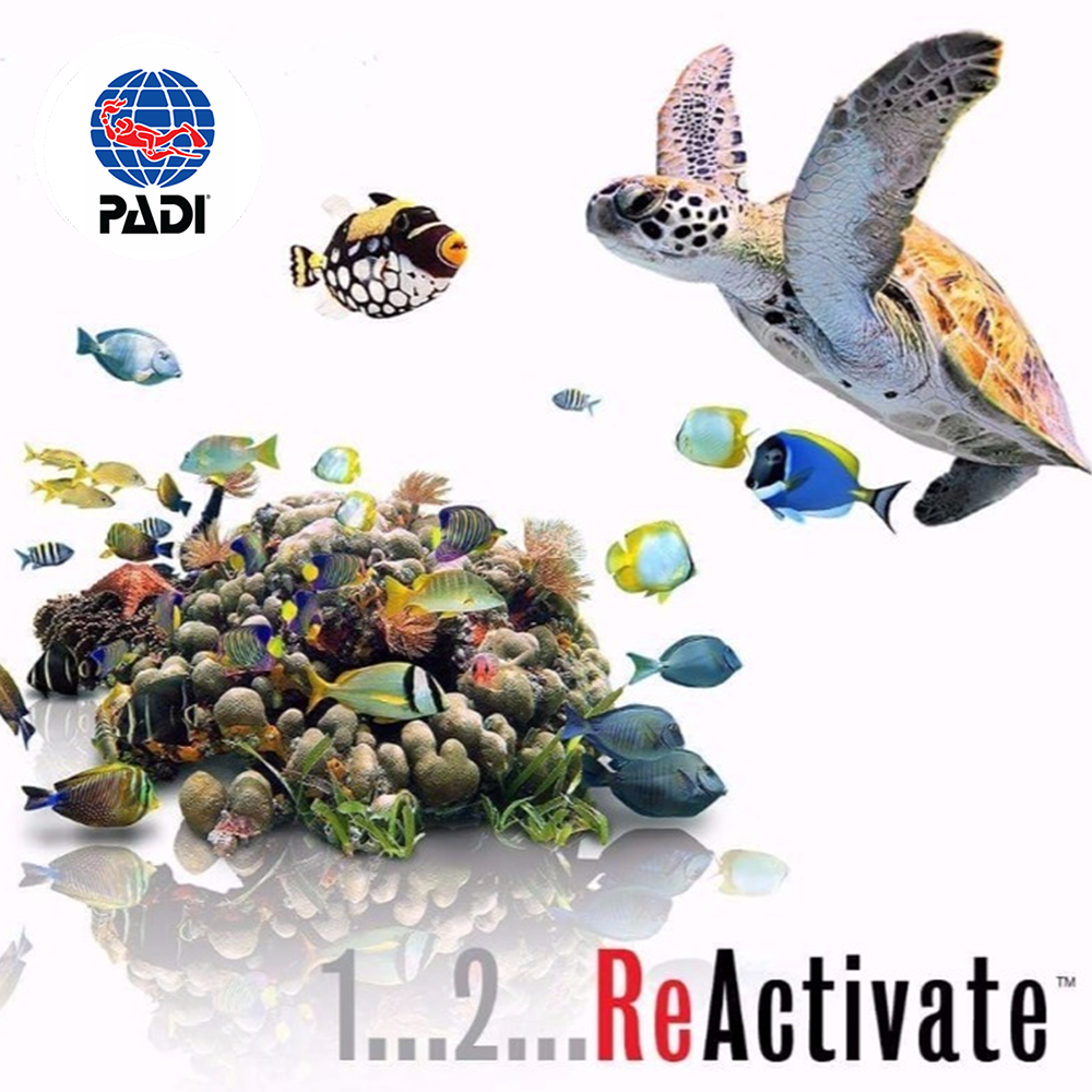Padi Scuba Tune Up ReActivate a PADI Reactivate