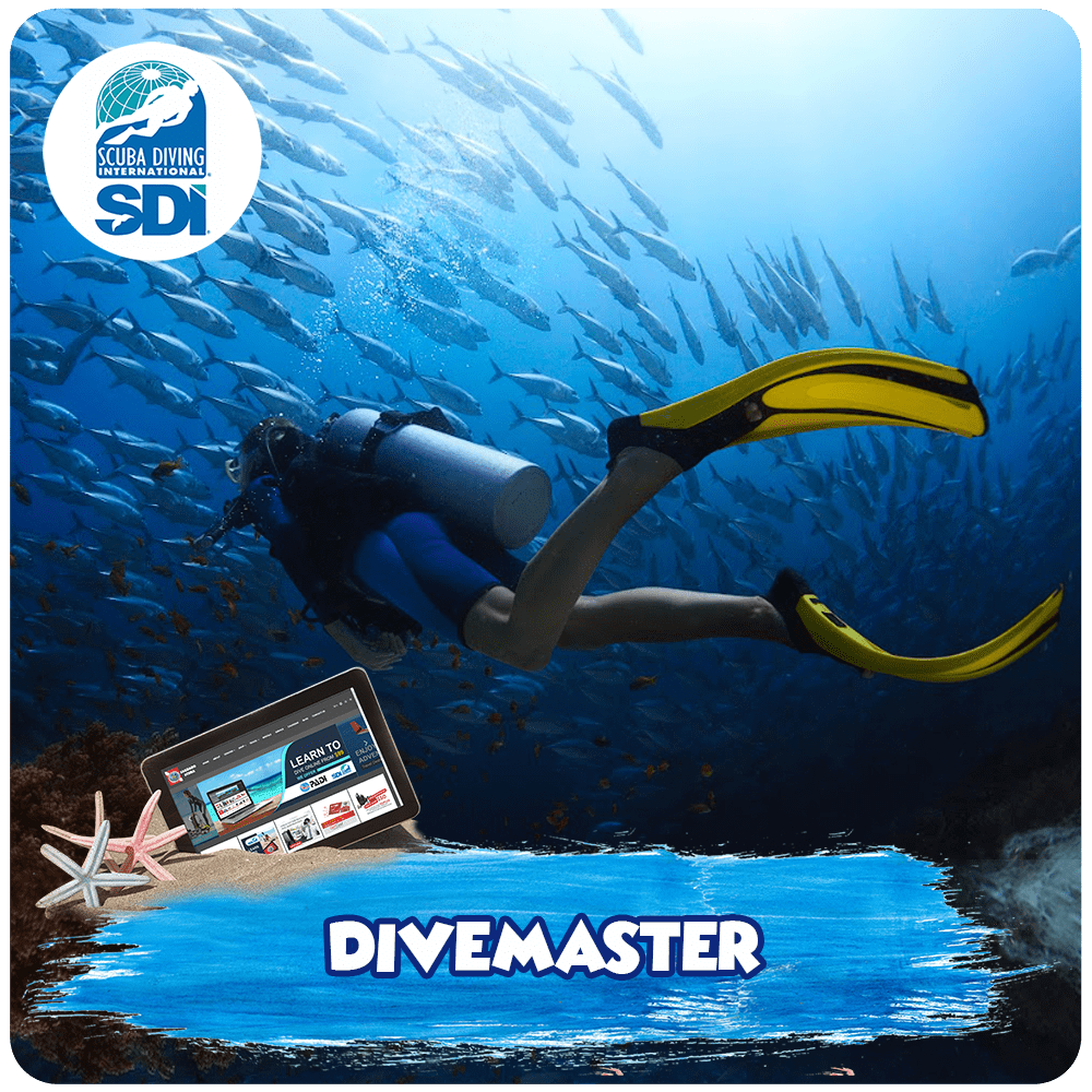 SDI Divemaster