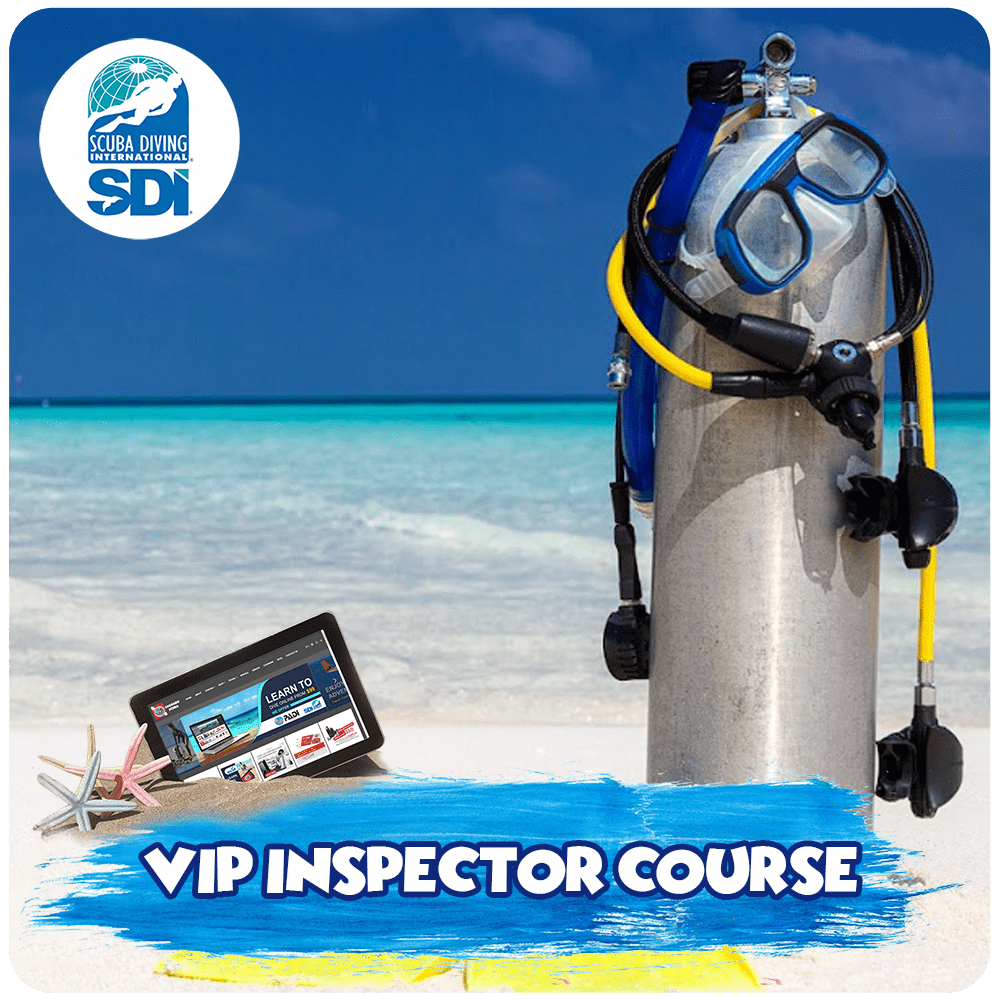 VIP Inspector Course