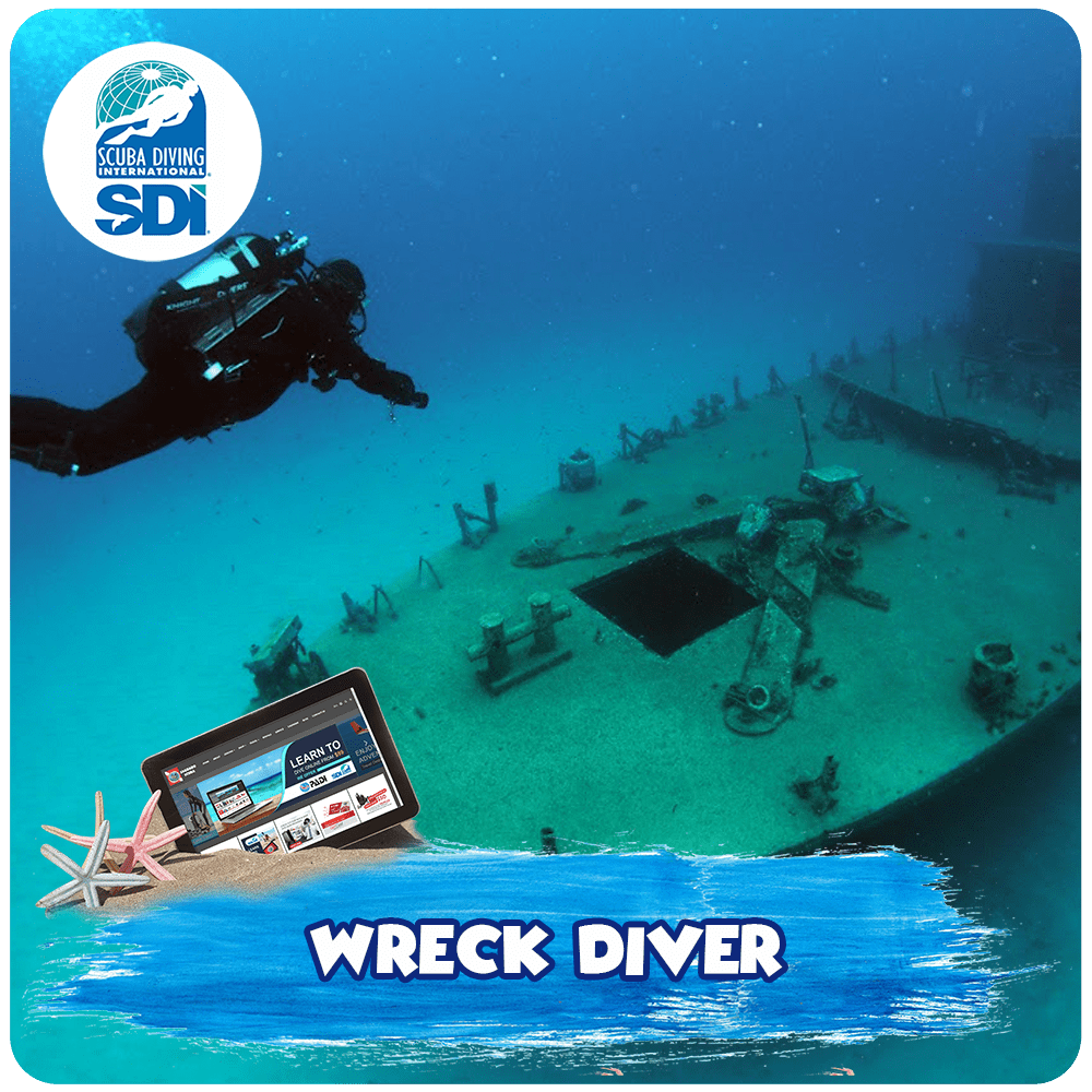 Wreck Diver